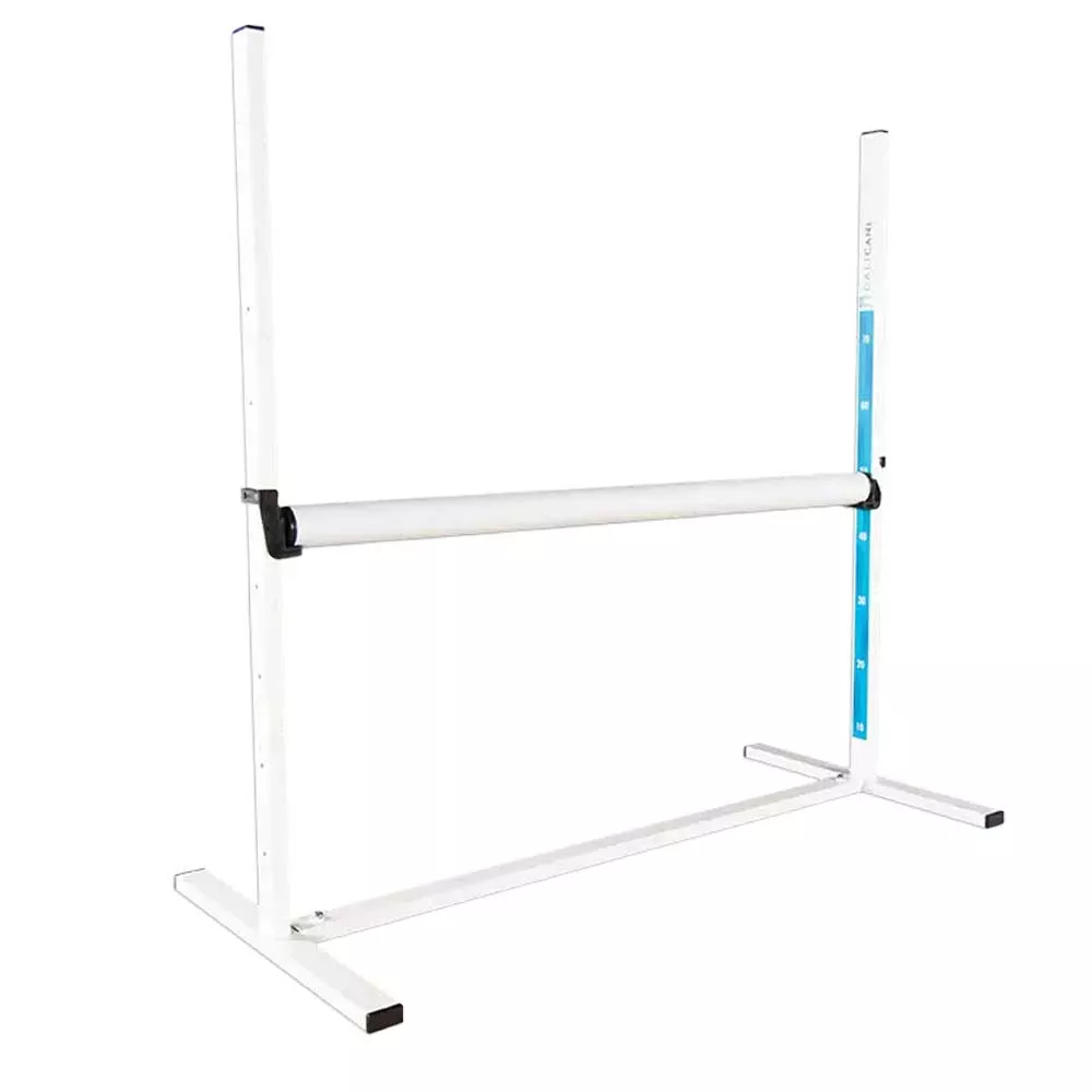 Obedience-Open-Jump-1